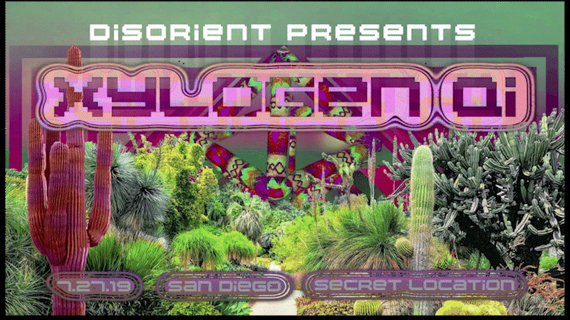 Xylogen qi poster.gif