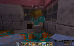 5lyLiceMinecraft202008030.png