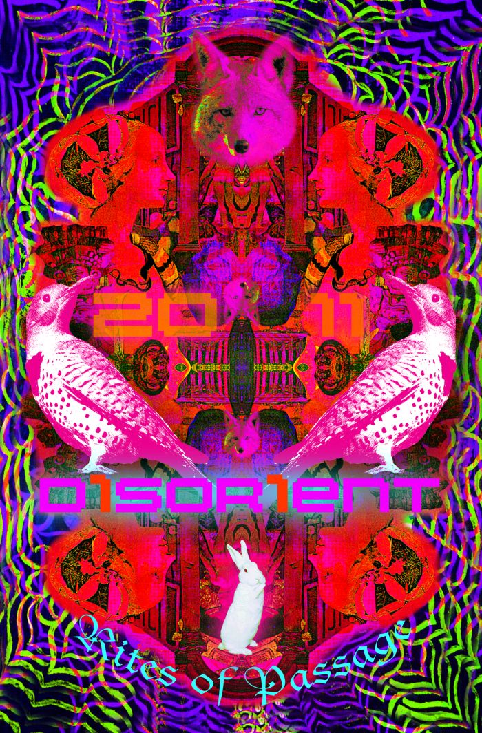 DisorientPoster2011.jpg