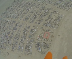 TheD DisorientBM2017.jpg