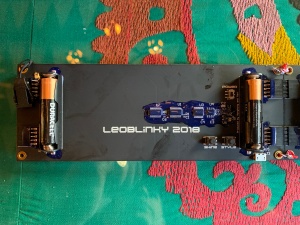 LeoBlinky2018Back.ENT.jpg