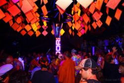 PDC at Compressor 2008