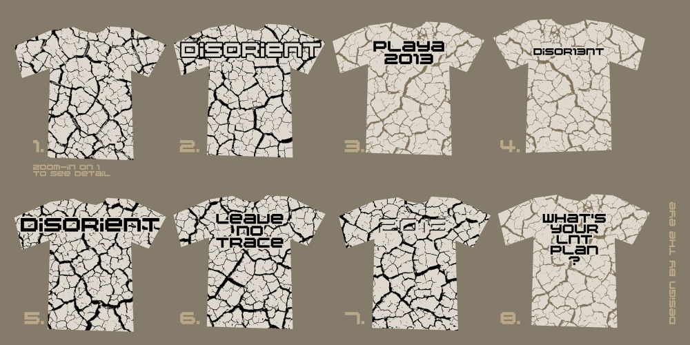 D13 shirt design 2500px.jpg
