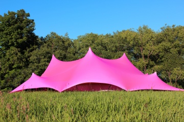 Pink bastard trees.jpg