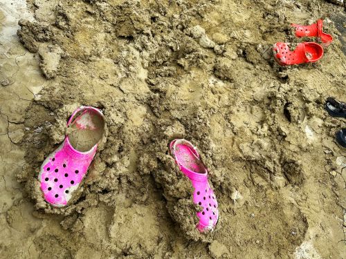 D23CrocsInMud.jpg