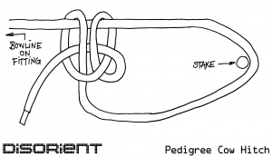 PedigreeCowHitch.jpg