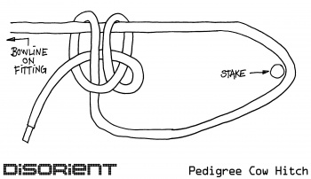 PedigreeCowHitch.jpg