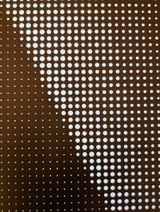 PXL 20241110 135321178.MP.jpg